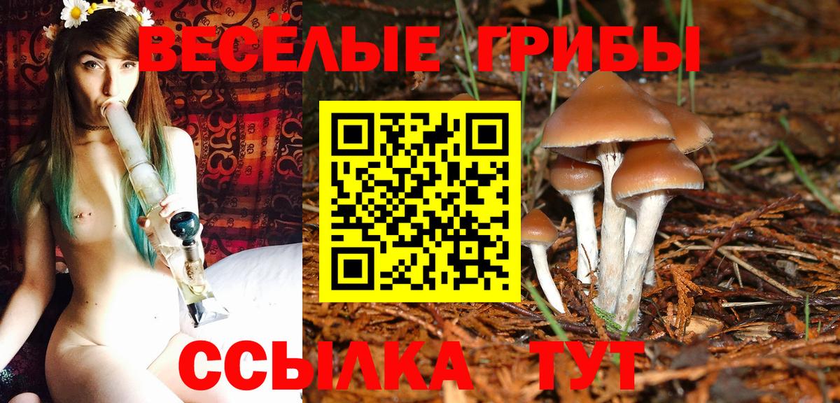 Галлюциногенные грибы Magic Shrooms Кашира